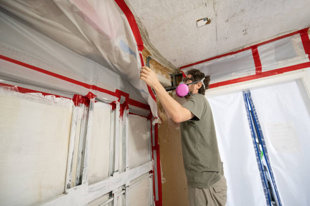 Reliable Cienegas Terrace, TX Mold Removal Solutions